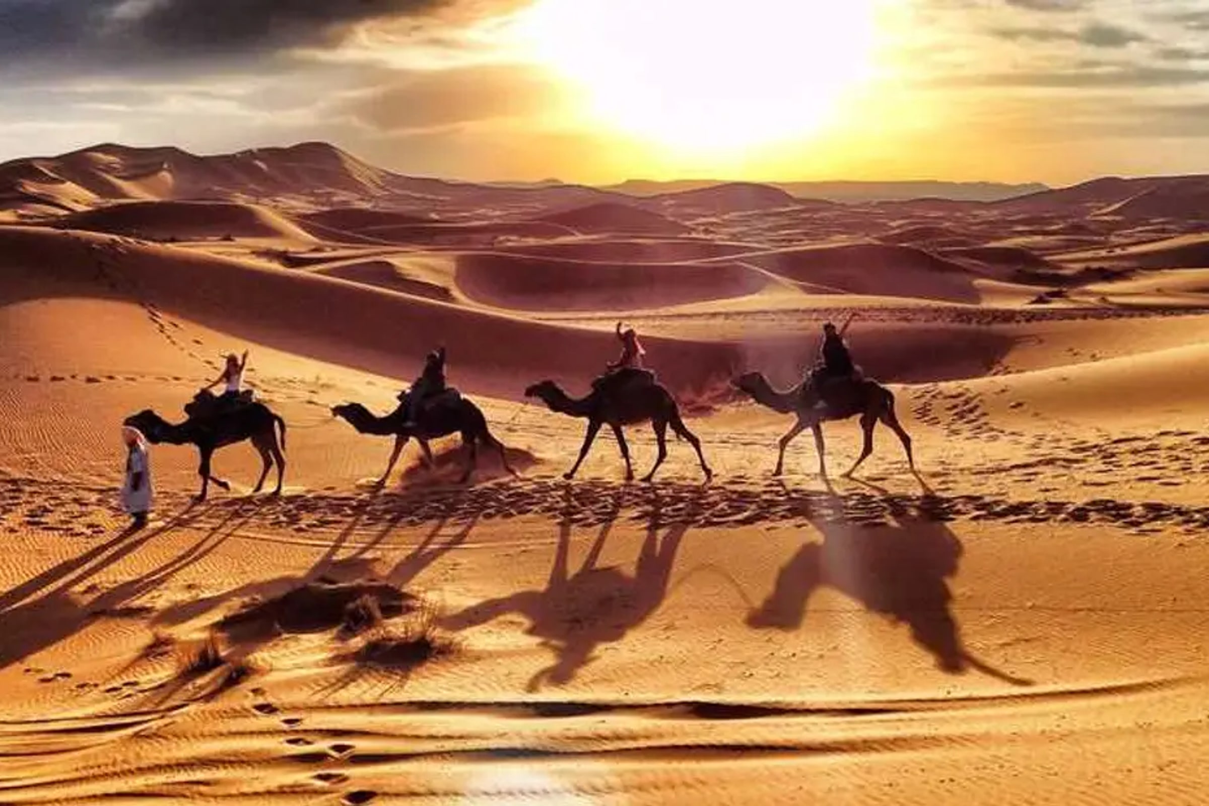 Evening Desert Safari Experience from Abu Dhabi